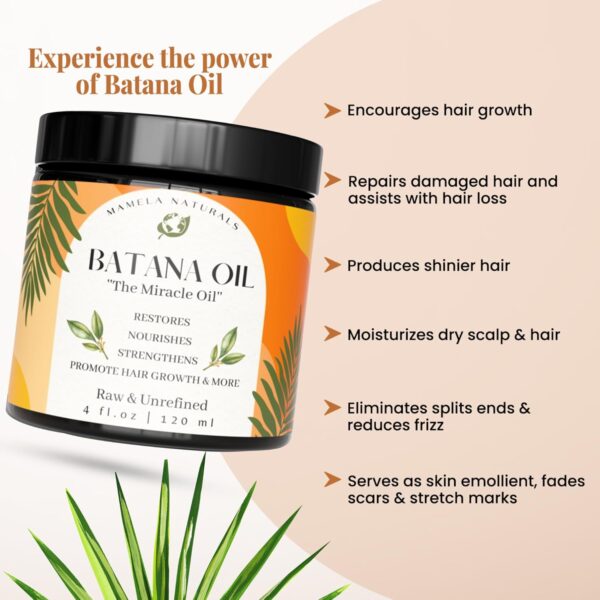 Raw Batana Oil For Hair Growth- 100% Pure & Organic Unrefined Dr Sebi Batana Hair Mask from Honduras - 4 oz jar - Natural Hair Growth Oil - Enhances Hair Thickness, Prevents Loss, Repairs Split Ends - Image 3