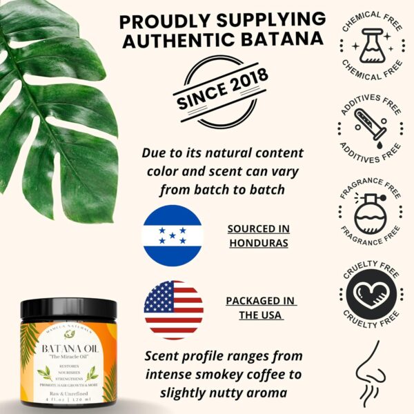 Raw Batana Oil For Hair Growth- 100% Pure & Organic Unrefined Dr Sebi Batana Hair Mask from Honduras - 4 oz jar - Natural Hair Growth Oil - Enhances Hair Thickness, Prevents Loss, Repairs Split Ends - Image 4