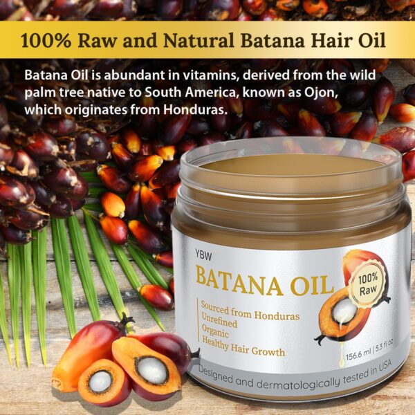 YBW Batana Oil for Hair Growth Dr. Sebi Organic, Natural, Pure and 100% Raw Batana Oil Paste from Honduras - Botana Enhances Hair Thickness, Prevents Loss for Men and Women - Image 5