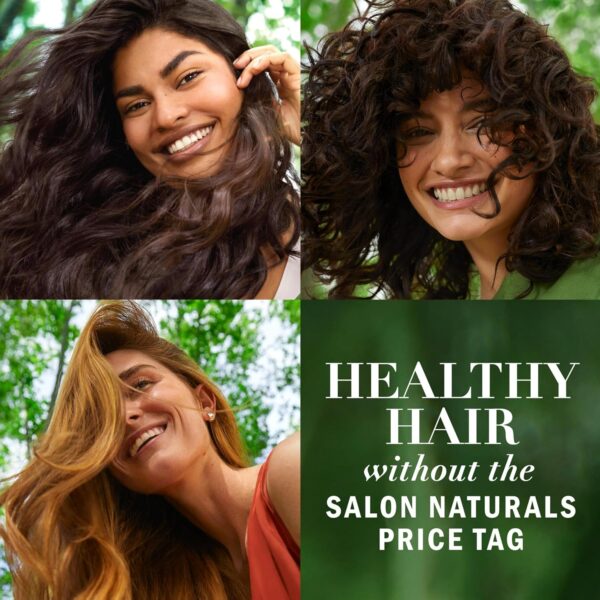 Herbal Essences Honey Daily Moisture Conditioner, Protects and Nourishes Dry Hair, Hydrating Conditioner with Certified Camellia Oil and Aloe Vera, Moisturizing and Safe For All Hair Types, 33.8oz - Image 4